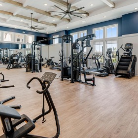 Get your workout on a gym with exercise equipment